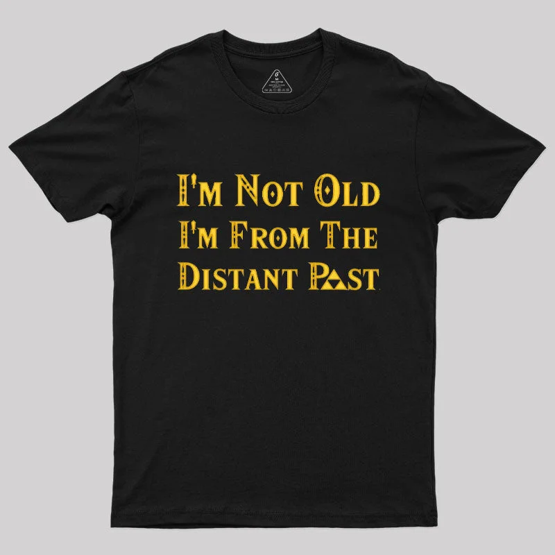 The Distant Past T-ShirtV-Neck Tee